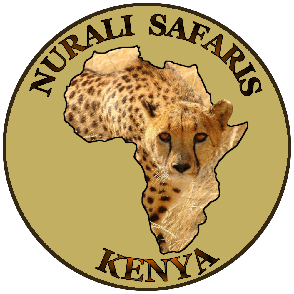 Nurali Safaris Kenya - Safari Privati e Personalizzati in tutti i ...