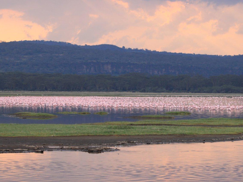 lago nakuru