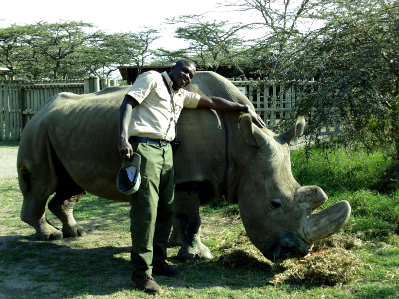 sudan